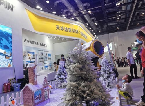 2020中国国际服贸会 雪秀信息科技引领超乎想象的科技盛景